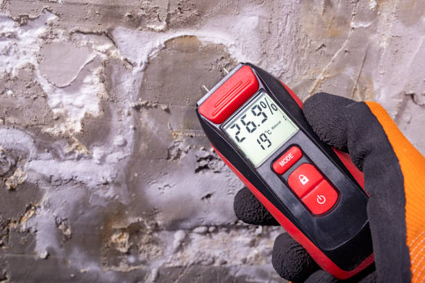Best Localized Mold Remediation (e.g., coastal areas, humid climates) in Galatia, IL